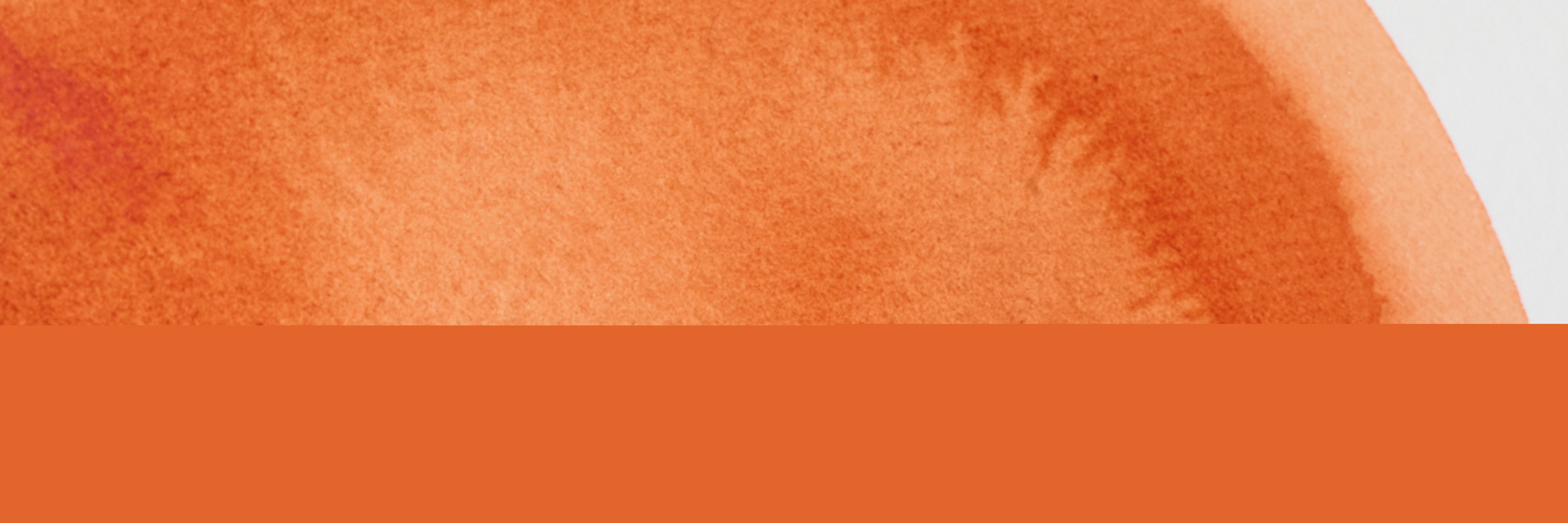 Allt om färgen Burnt Sienna