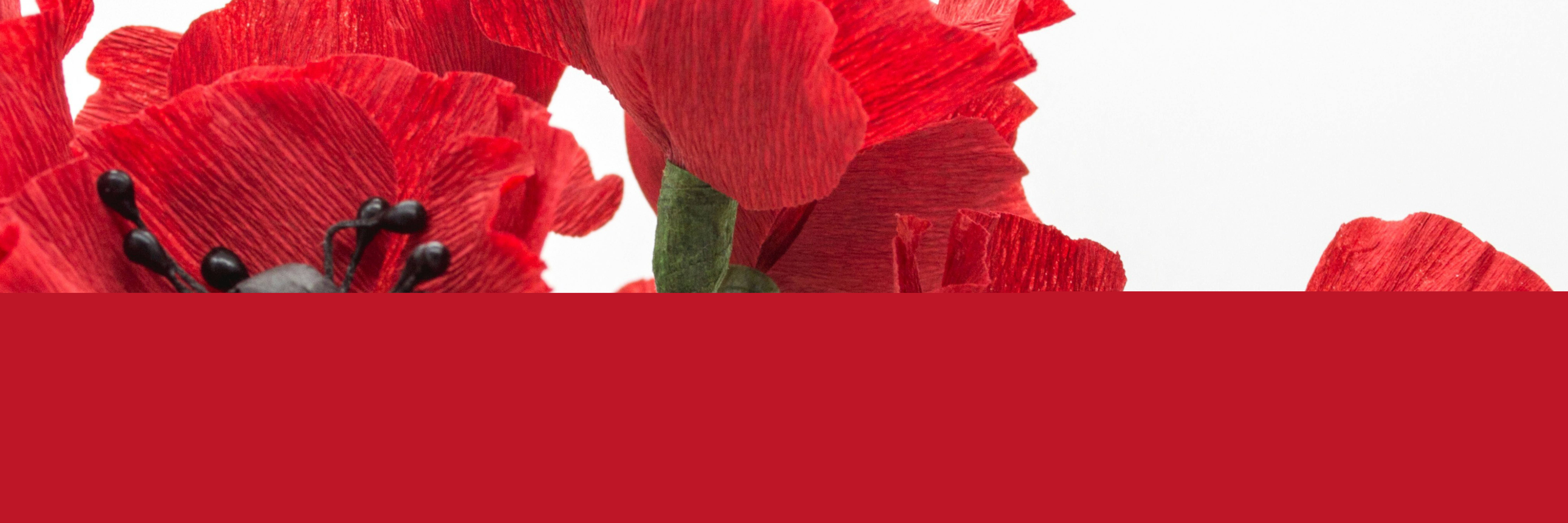 Blommor i Crepepapper