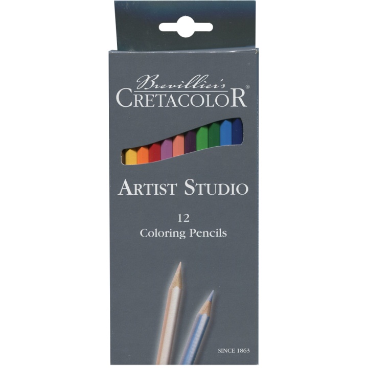 Artist Studio Färgpennor 12-pack i gruppen Pennor / Konstnärspennor / Färgpennor hos Pen Store (105029)