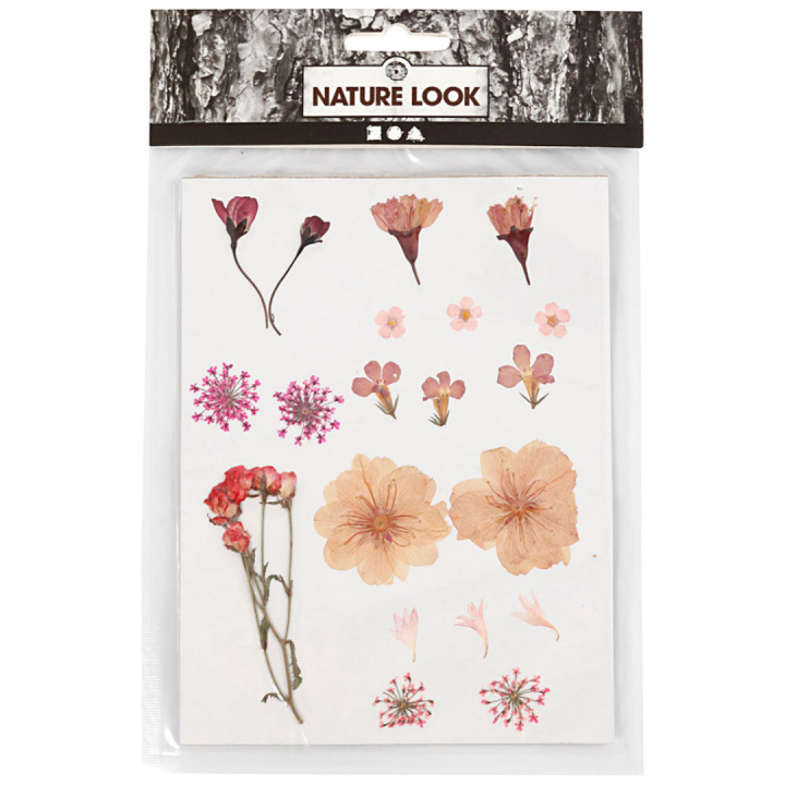 Torkade blommor och blad Ljusrosa i gruppen Skapande & Hobby / Tekniker / Scrapbooking hos Pen Store (130763)