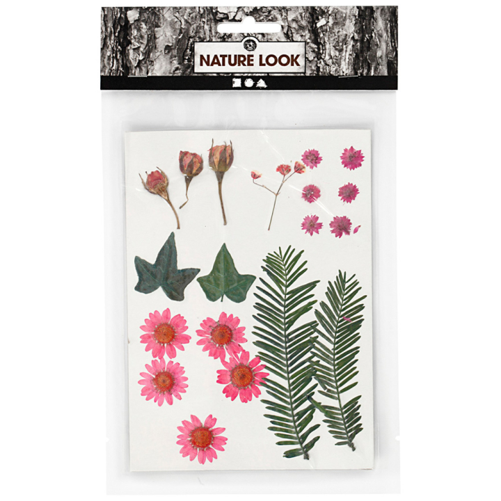Läs mer om Colortime Torkade blommor och blad Ljusröd