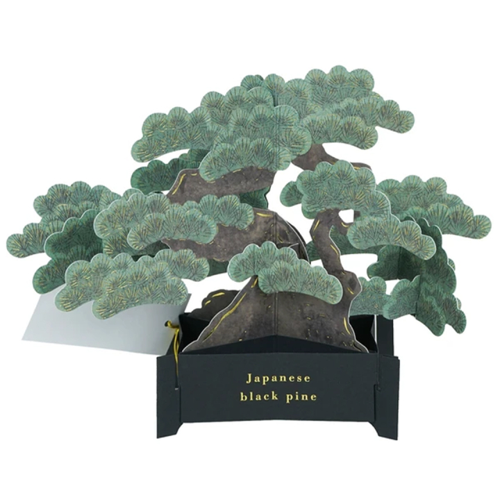 Bonsai popup-kort (Japanese black pine) i gruppen Skapande & Hobby / Högtider och säsong / Kort och kuvert hos Pen Store (136616)