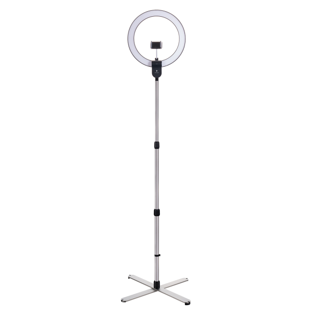 Aura Ring Floor Lamp