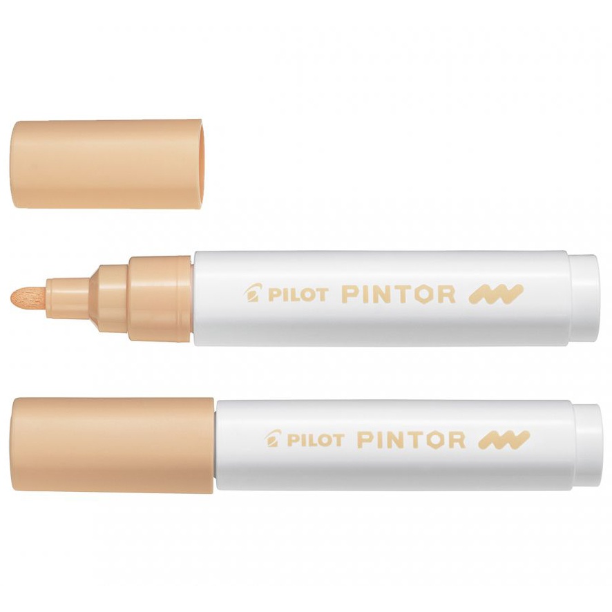 Pilot Pintor Medium Tip Silver