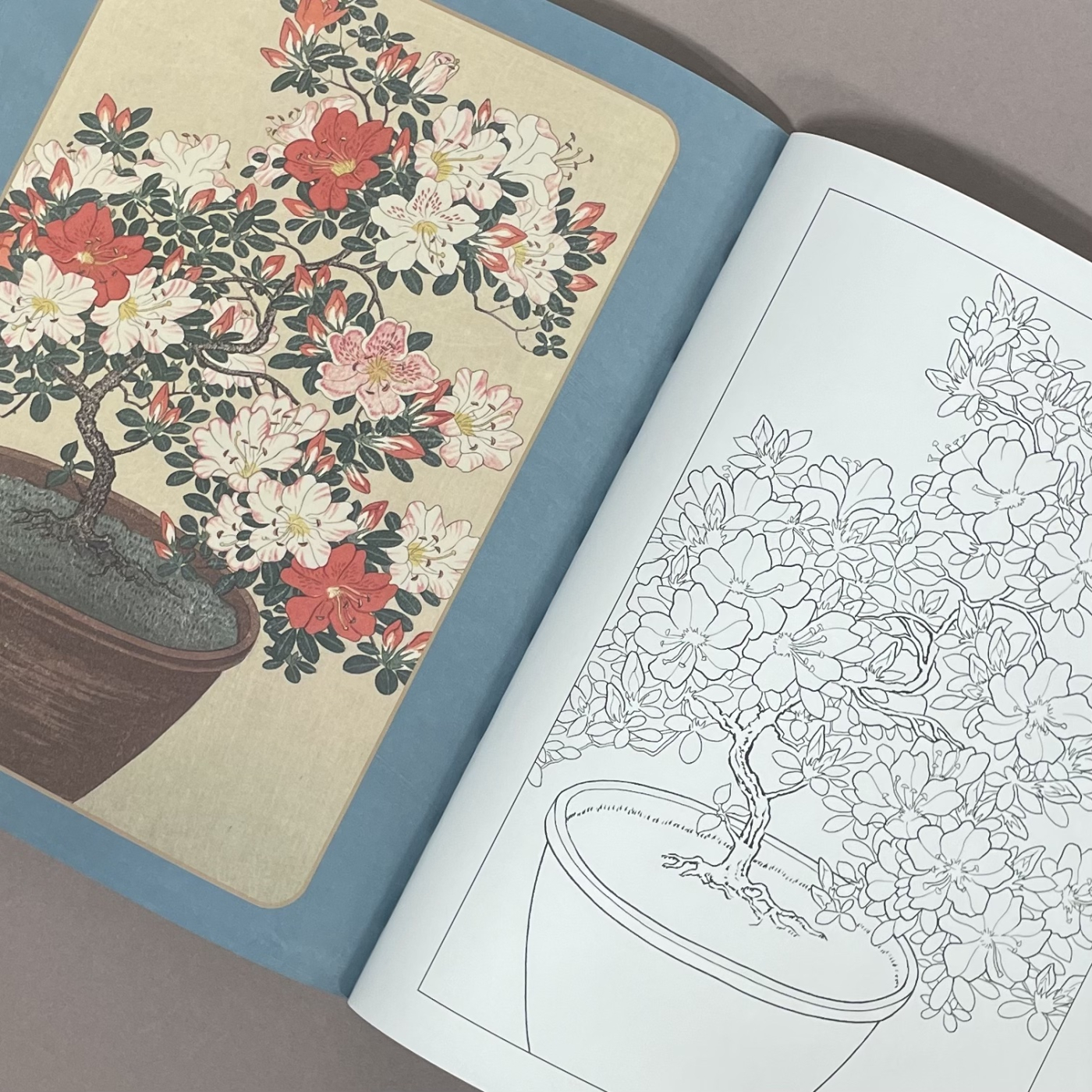The Delightful Japanese Art Colouring Book i gruppen Skapande & Hobby / Böcker / Målarböcker för vuxna hos Pen Store (129242)