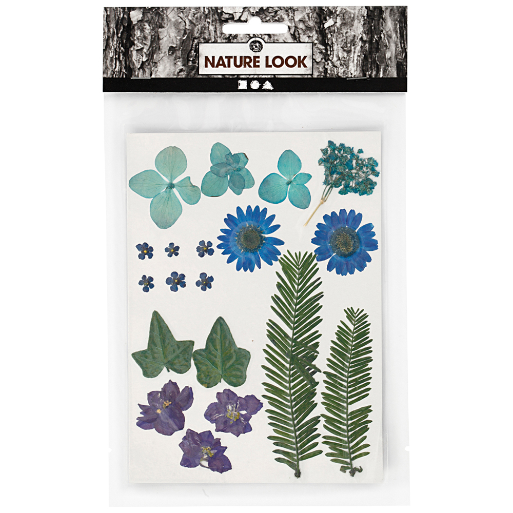 Creativ Company Torkade blommor och blad Blå