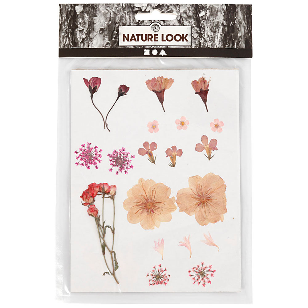 Creativ Company Torkade blommor och blad Ljusrosa