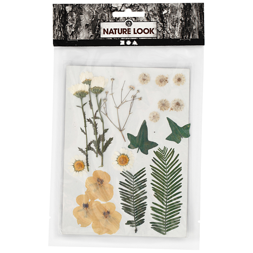 Creativ Company Torkade blommor och blad Råvit