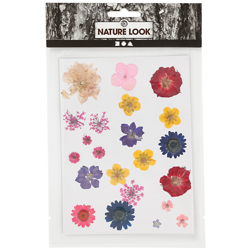 Creativ Company Torkade blommor och blad Mixade färger
