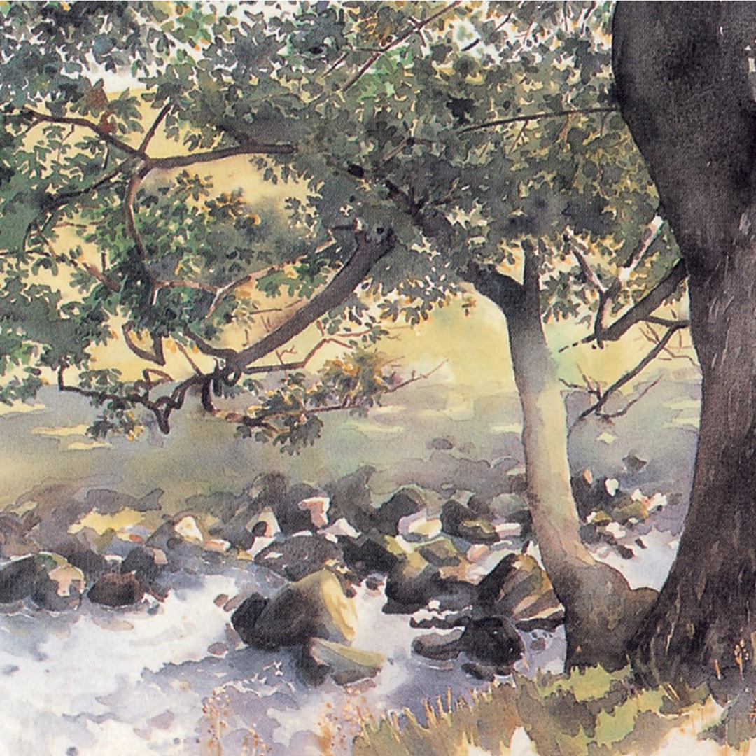 The Watercolour Artist's Bible