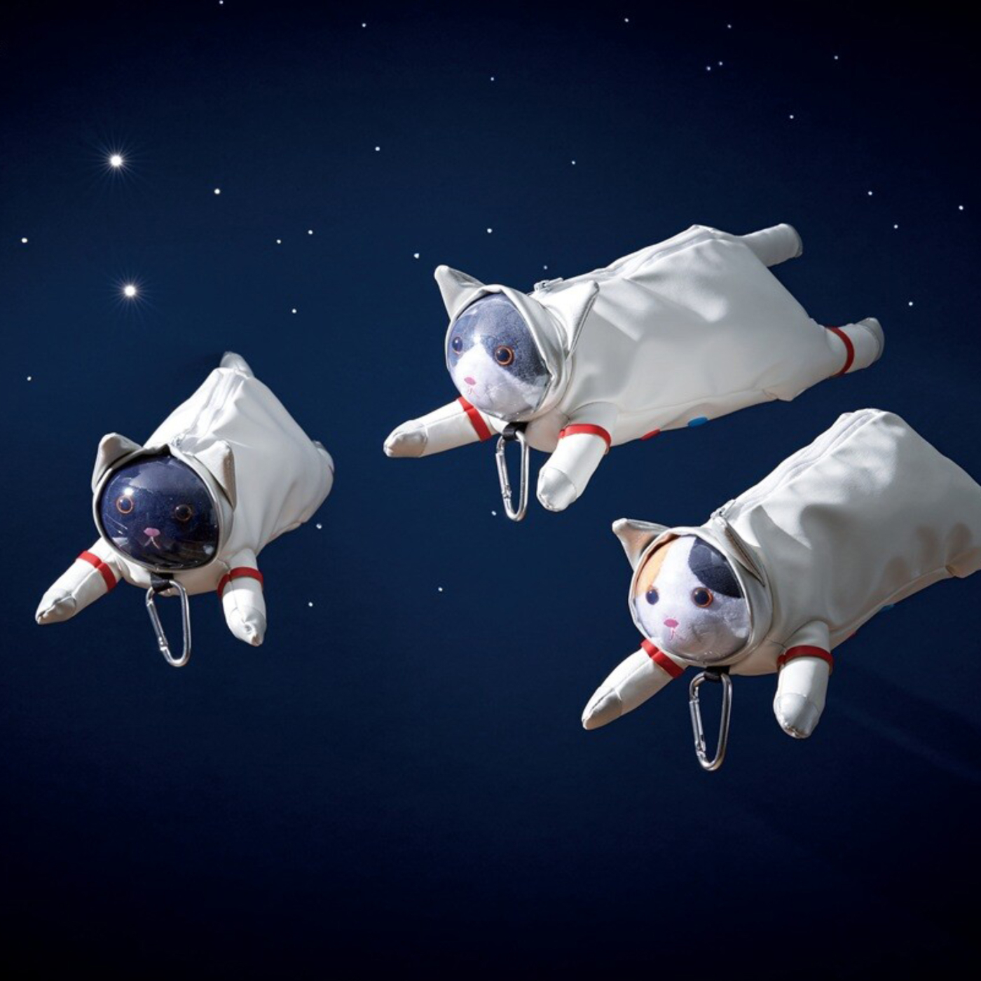 Pennfodral Astro Cat Black
