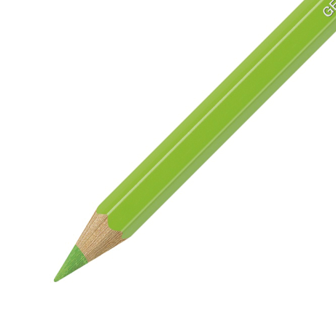 Faber-Castell Albrecht Dürer