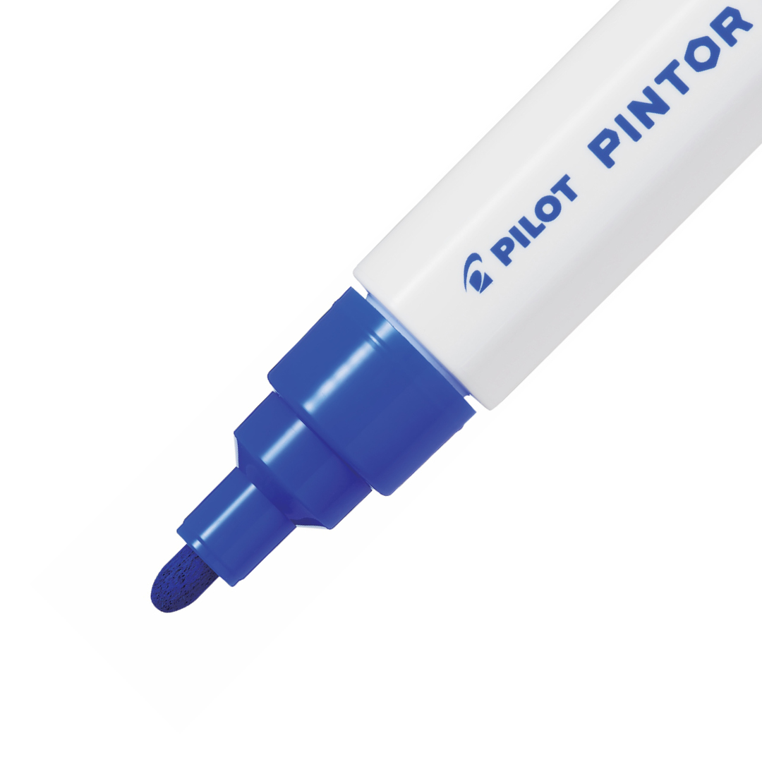 Pilot Pintor