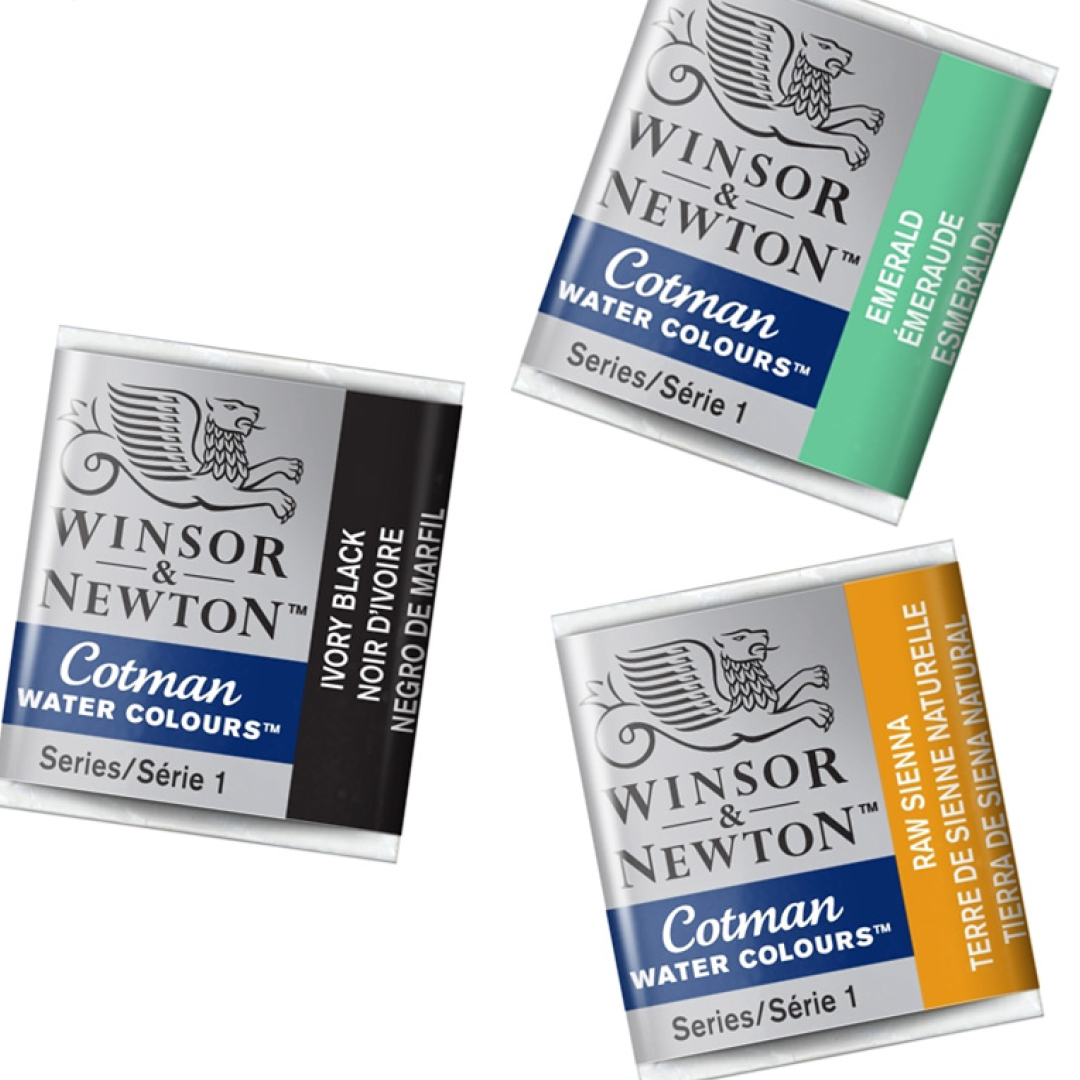 Winsor & Newton Cotman