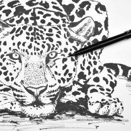 Pocket Brush Pen Set Black i gruppen Pennor / Penntillbehör / Patroner och refiller hos Pen Store (104522)