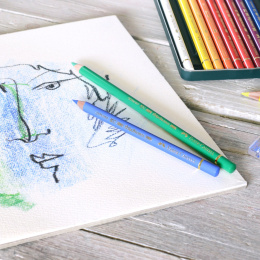 Polychromos styckvis i gruppen Pennor / Konstnärspennor / Färgpennor hos Pen Store (105856_r)