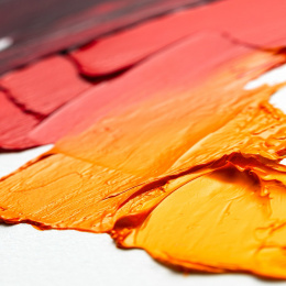 Winton Oljefärg Tub 37 ml 10-set i gruppen Konstnärsmaterial / Konstnärsfärger / Oljefärg hos Pen Store (107256)