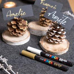 PC-1MR Extra fine i gruppen Pennor / Konstnärspennor / Illustrationsmarkers hos Pen Store (110027_r)