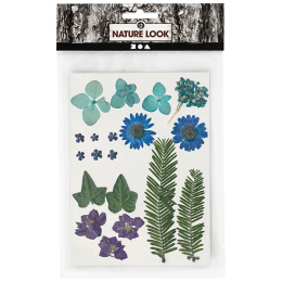 Torkade blommor och blad Blå i gruppen Skapande & Hobby / Tekniker / Scrapbooking hos Pen Store (130762)