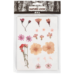 Torkade blommor och blad Ljusrosa i gruppen Skapande & Hobby / Tekniker / Scrapbooking hos Pen Store (130763)