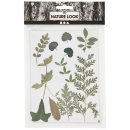 Torkade blommor och blad Grön i gruppen Skapande & Hobby / Tekniker / Scrapbooking hos Pen Store (130766)