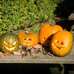 Pumpaverktyg 5 delar + mallar i gruppen Skapande & Hobby / Högtider och säsong / Halloween hos Pen Store (132630)