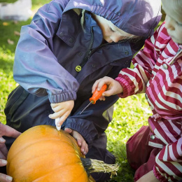 Pumpaverktyg 5 delar + mallar i gruppen Skapande & Hobby / Högtider och säsong / Halloween hos Pen Store (132630)