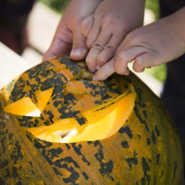 Pumpaverktyg 5 delar + mallar i gruppen Skapande & Hobby / Högtider och säsong / Halloween hos Pen Store (132630)