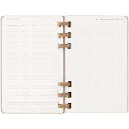 12M Spiral Planner 2025 XL Almond i gruppen Papper & Block / Kalendrar och almanackor / 12-månaderskalendrar hos Pen Store (133786)