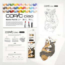 Ciao Layer & Mix 2D Starter Set Pet i gruppen Pennor / Konstnärspennor / Illustrationsmarkers hos Pen Store (135133)