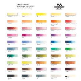 Neocolor II Aquarelle 50 years Wooden Box 50-set i gruppen Konstnärsmaterial / Konstnärsfärger / Pastell / Vaxpasteller hos Pen Store (135633)