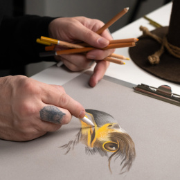 Eagle tecknarset 12 delar i gruppen Pennor / Konstnärspennor / Pastellpennor hos Pen Store (135655)