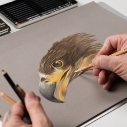 Eagle tecknarset 12 delar i gruppen Pennor / Konstnärspennor / Pastellpennor hos Pen Store (135655)