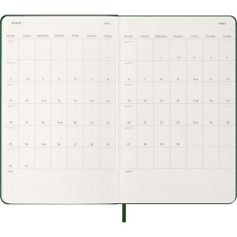 Kalender 12M Daily 2026 Hardcover Large Myrtle Green i gruppen Papper & Block / Kalendrar och almanackor / 12-månaderskalendrar hos Pen Store (136083)