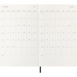 Kalender 12M Daily 2026 Softcover Large Sapphire Blue i gruppen Papper & Block / Kalendrar och almanackor / 12-månaderskalendrar hos Pen Store (136087)