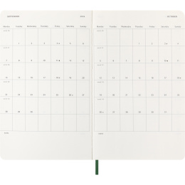 Kalender 12M Daily 2026 Softcover Large Myrtle Green i gruppen Papper & Block / Kalendrar och almanackor / 12-månaderskalendrar hos Pen Store (136088)