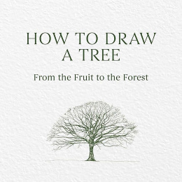 How to Draw a Tree: from the Fruit to the Forest i gruppen Skapande & Hobby / Böcker / Instruktionsböcker hos Pen Store (136291)