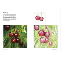 How to Draw a Tree: from the Fruit to the Forest i gruppen Skapande & Hobby / Böcker / Instruktionsböcker hos Pen Store (136291)