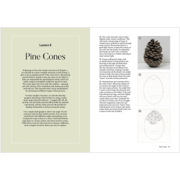 How to Draw a Tree: from the Fruit to the Forest i gruppen Skapande & Hobby / Böcker / Instruktionsböcker hos Pen Store (136291)