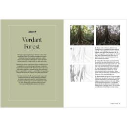 How to Draw a Tree: from the Fruit to the Forest i gruppen Skapande & Hobby / Böcker / Instruktionsböcker hos Pen Store (136291)