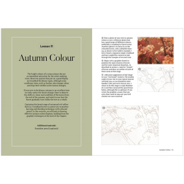 How to Draw a Tree: from the Fruit to the Forest i gruppen Skapande & Hobby / Böcker / Instruktionsböcker hos Pen Store (136291)