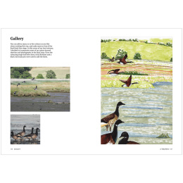 How to Draw a River: from the Source to the Sea i gruppen Skapande & Hobby / Böcker / Instruktionsböcker hos Pen Store (136292)