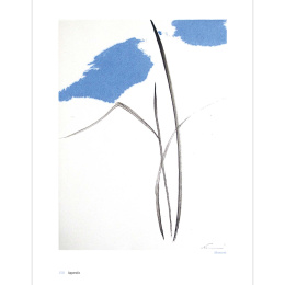 The Art of Sumi-e i gruppen Skapande & Hobby / Böcker / Inspirationsböcker hos Pen Store (136293)