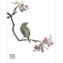 The Art of Sumi-e i gruppen Skapande & Hobby / Böcker / Inspirationsböcker hos Pen Store (136293)