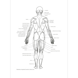 Figure Drawing: A Complete Guide i gruppen Skapande & Hobby / Böcker / Inspirationsböcker hos Pen Store (136294)