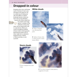 The Watercolour Artist's Bible i gruppen Skapande & Hobby / Böcker / Instruktionsböcker hos Pen Store (136295)