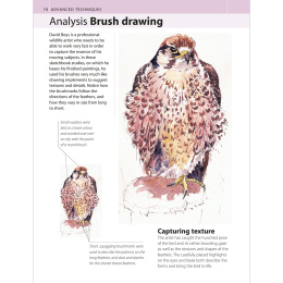 The Watercolour Artist's Bible i gruppen Skapande & Hobby / Böcker / Instruktionsböcker hos Pen Store (136295)