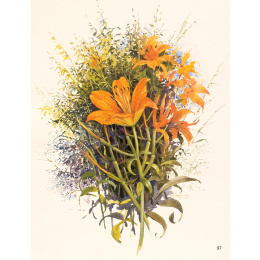 The Art of Gouache i gruppen Skapande & Hobby / Böcker / Instruktionsböcker hos Pen Store (136297)