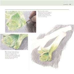 The Encyclopedia of Coloured Pencil Techniques i gruppen Skapande & Hobby / Böcker / Instruktionsböcker hos Pen Store (136298)