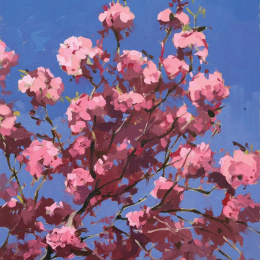 Plein Air Painting with Oils i gruppen Skapande & Hobby / Böcker / Instruktionsböcker hos Pen Store (136306)